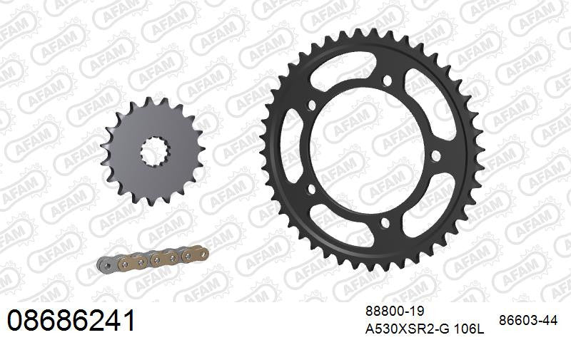 Zestaw napędowy AFAM do TRIUMPH Daytona 955 i Double Sided Swingarm