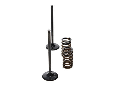 ProX Racing Parts ProX Zestaw Zaworów Ssących Stalowych (+sprężyny) KTM250SX/EXC-F '08-12