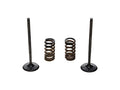 ProX Racing Parts ProX Zestaw Zaworów Ssących Stalowych (+sprężyny) KTM250SX/EXC-F '08-12