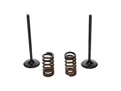 ProX Racing Parts ProX Zestaw Zaworów Ssących Stalowych (+sprężyny) KTM250SX/EXC-F '08-12