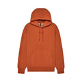 BLUZA Z KAPTUREM FOX WORDMARK OVERSIZED FLEECE