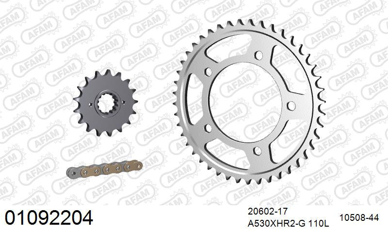 Zestaw napędowy AFAM do HONDA CBR 1100 XX V,W,X,Y,1,2,3,4,5,6,7,8