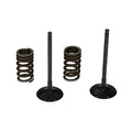 ProX Racing Parts ProX Zestaw Zaworów Ssących Stalowych (+sprężyny) RM-Z250 '07-20